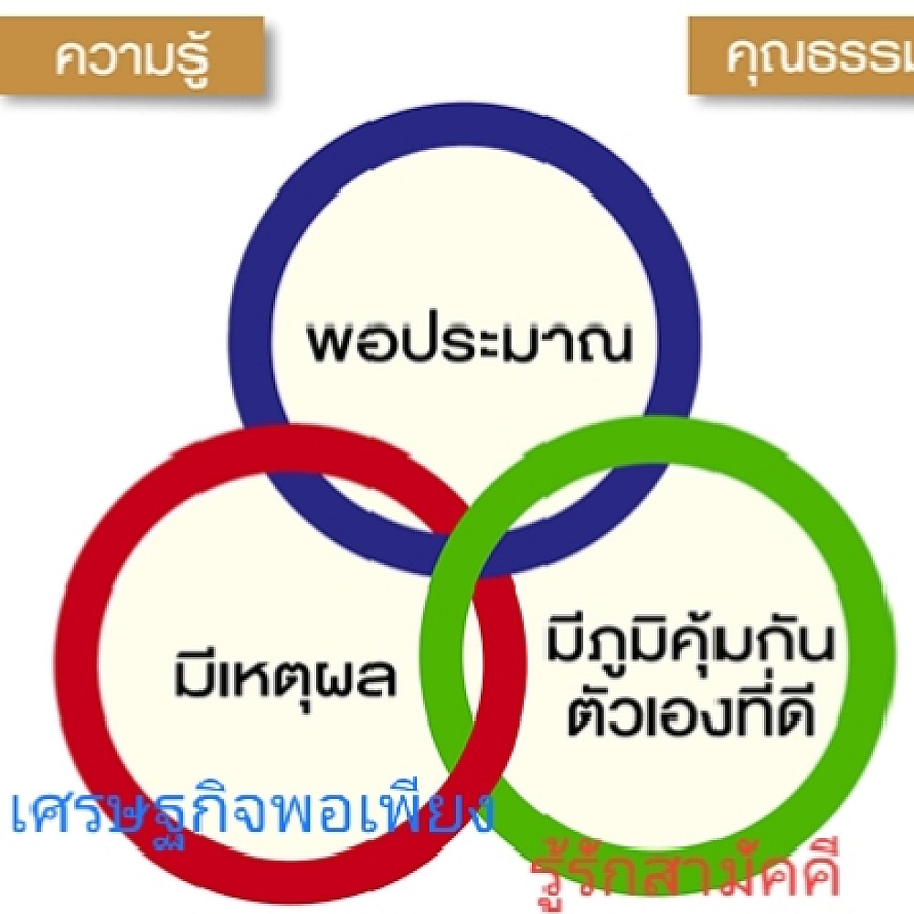 งานโครงการฯ